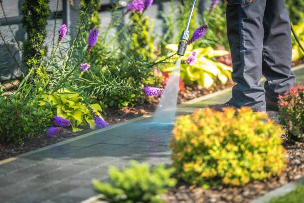 Best Restaurant Pressure Washing  in Muskegon Heights, MI